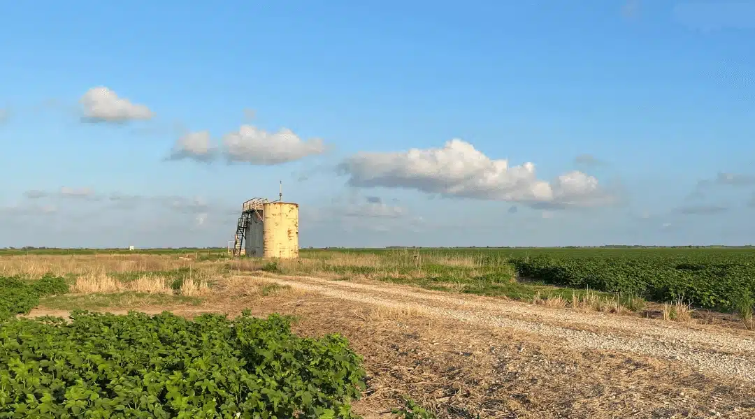 Finding Out Who Owns Your Mineral Rights in Texas